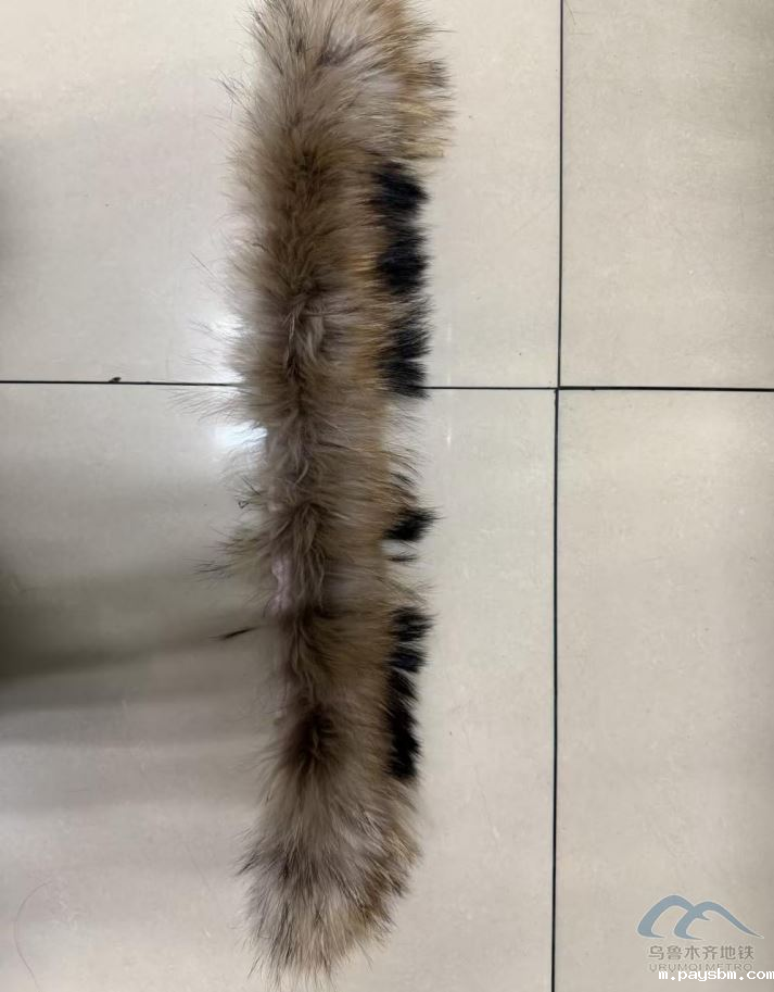 图片 33.png 图片 33.png