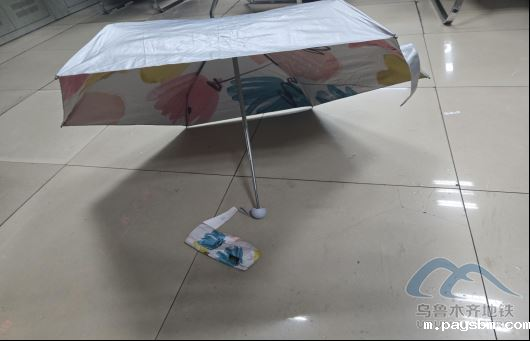 2025年10月2日地铁1号线站内遗失物品329.png 2025年10月2日地铁1号线站内遗失物品329.png