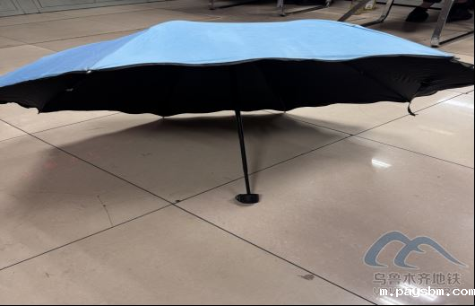 2025年10月2日地铁1号线站内遗失物品509.png 2025年10月2日地铁1号线站内遗失物品509.png