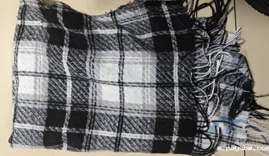 image042.jpg image042.jpg