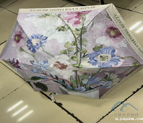 2025年8月13日地铁1号线站内遗失物品清单508.png 2025年8月13日地铁1号线站内遗失物品清单508.png